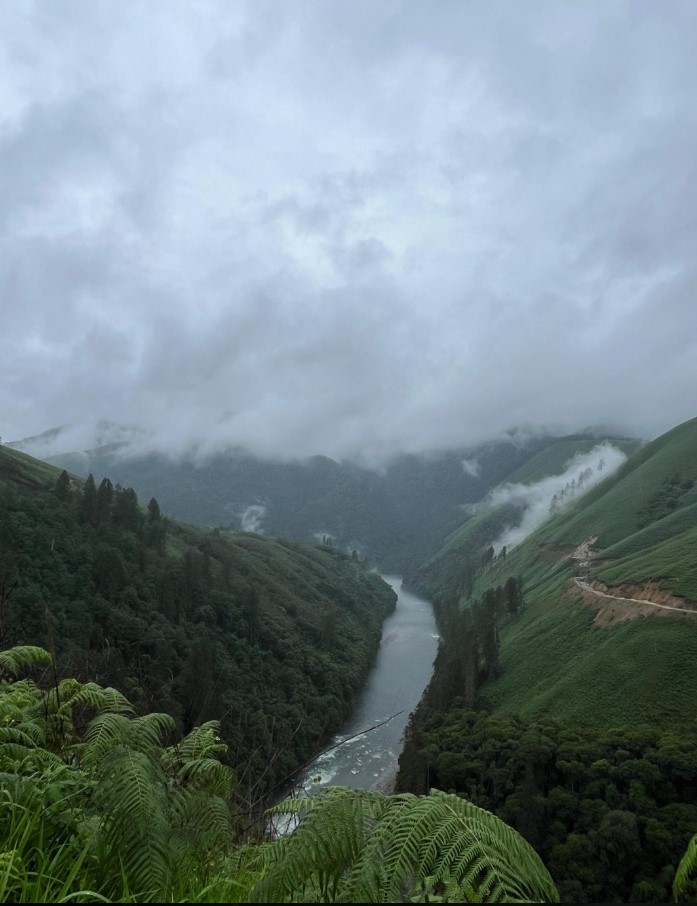 Ziro( photo credit :- google )