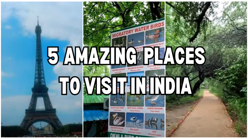 5 Best places To Visit in New Delhi 2024