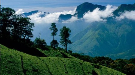 Madurai – Coonoor – Ooty ( google ) 