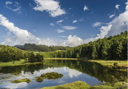 Mysore-Coorg-Bandipur ( google ) 