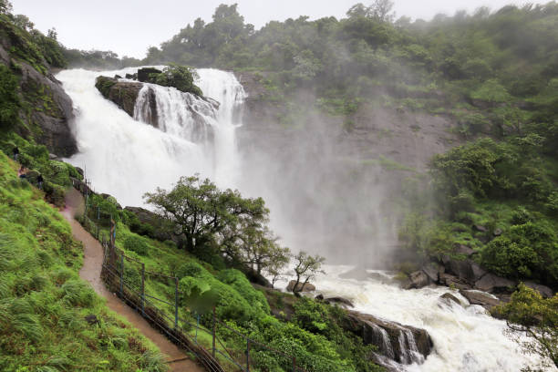 Coorg, Karnataka in south India ( google )