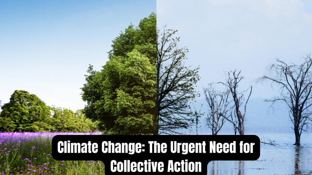 Climate Change: The Urgent Need for Collective Action ( canva )