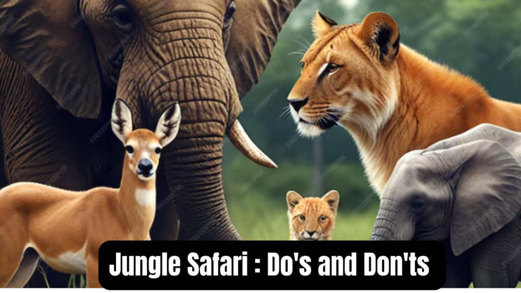 Jungle Safari : Do's and Don'ts ( canva )