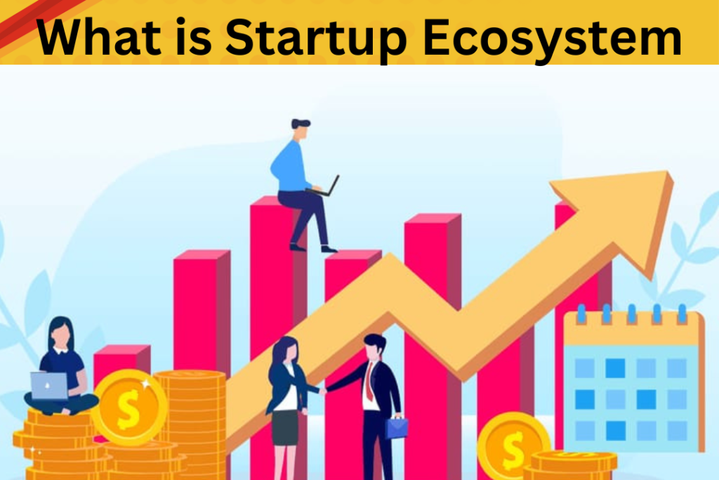 What is Startup Ecosystem